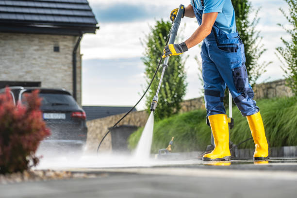 Animal Enclosure Cleaning in Elizabethton, TN